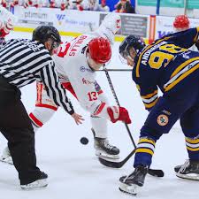 Bespoke Guardians...