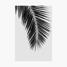 Alfresco black palm leaf wallpaper item #: Palm Leaf I Black White Poster By Orarastudio Redbubble