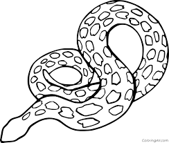 These free snake coloring pages for kids are great for using all of your favorite colors for coloring fun.there are a great variety of different snakes in this collection, and you'll have the opportunity to use all kinds of colors and fun art mediums. Anaconda Coloring Pages Coloringall
