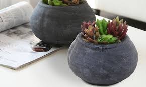 Man mano che i molluschi si apriranno, leviamoli dal fuoco. 1 O 3 Piante Grasse In Vasi Di Ceramica Disponibili In Vari Set