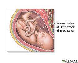 Monitor The Baby S Movements