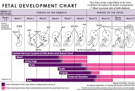 alcohol and pregnancy disease of the week cdc