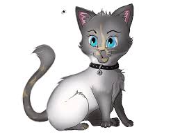 Https Encrypted Tbn0 Gstatic Com Images Q Tbn And9gcspdoiy3tgguzqs8pdrs8sp2ootxy5fndec1a Usqp Cau