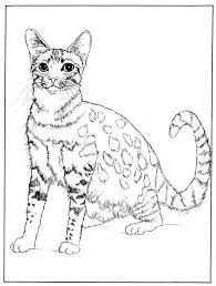 Select from 35870 printable crafts of cartoons, nature, animals, bible and many more. Egyptian Mau Coloring Page Cat Coloring Page Coloring Pages Coloring For Kids Free