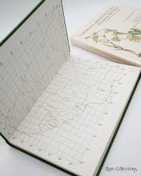 Image result for Riocreuxia