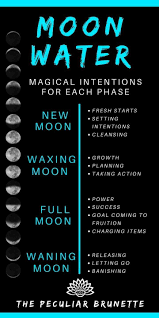 Pin By Witch Way That On Magick Waters In 2020 New Moon Rituals Herbal Magic Witch Magic In 2020 Witch Magic Magick New Moon Rituals