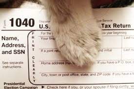 Foster Pet Tax Deductions