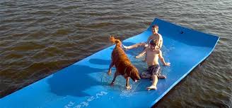 It is very important to control water hyacinth before the entire water surface is covered. Floating Water Mat