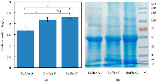 The original big blu leak detector is used by oem's and industry professionals worldwide. Molecules Free Full Text Identification Of Potential Auxin Responsive Small Signaling Peptides Through A Peptidomics Approach In Arabidopsis Thaliana Html