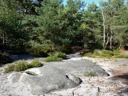 Landscapes Of The Seine Et Marne Fontainebleau Forest Rock Vegetation And Trees France Voyage Com Seine Et Marne Marne Landscape