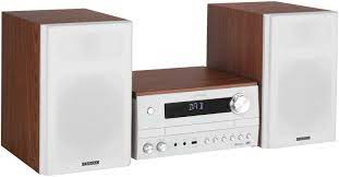 La versione basso 880, qui elencata, è quella che offre un cono da 10 pollici e potenza in uscita nominale di 250w. Migliori Impianti Hi Fi Per La Casa La Musica Diventa Smart Casahitech