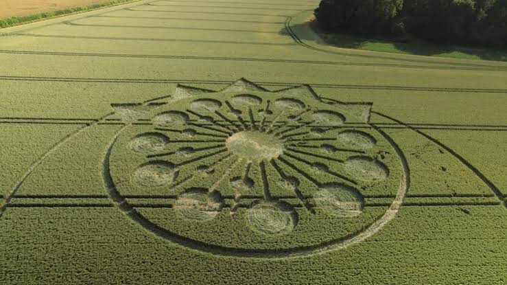 Crop circle Videos - HD and 4K to download | Magnific