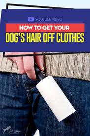 Discount prices on lint and pet hair remover. How To Get Dog Hair Off Clothes A Simple Guide