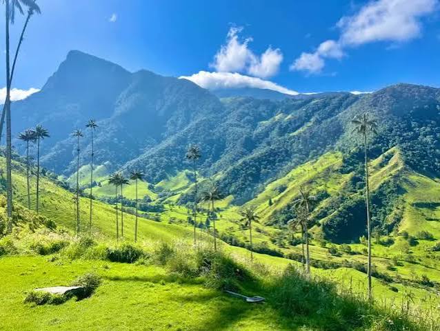 Trekking al corazón de Colombia: el Valle de Cocora