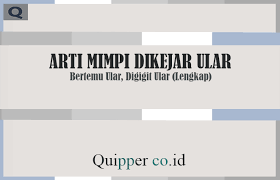 Dan mimpi sendiri merupakan bentuk dari cerminan yang terjadi dari akibat bawah sadar, panca indera, perasaan, penglihatan dan juga pendengaran. Arti Mimpi Dikejar Ular Bertemu Ular Digigit Ular Lengkap