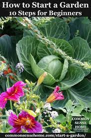 Maybe you would like to learn more about one of these? How To Start A Garden 10 Steps To Gardening For Beginners
