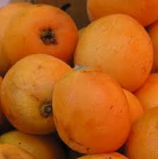 Jul 11, 2020 · the chinese plum is also used for liquors, sauces, juices, and for medicinal purposes. Loquat Properties Botanical Online