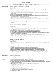 • collaborates within internal audit and management to identify and assess reports used in key sox controls • routinely summarize and communicate to the effected control owners and it management, control weaknesses identified during testing. Internal Auditor Senior Resume Samples Velvet Jobs
