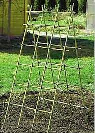 Building A Bamboo Trellis Bamboo Trellis Diy Garden Trellis Diy Trellis