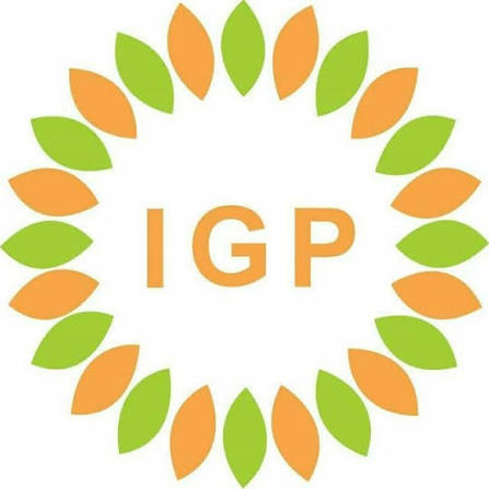 Logo PT IGP Internasional