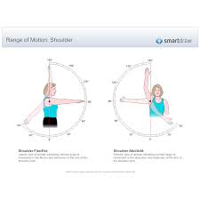 Shoulder Normal Range Of Motion Chart Www