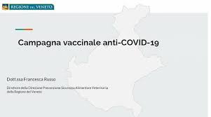 A padova, stanno per andare solo verso i richiami è l'allarme lanciato dal presidente della regione luca zaia. Scarica Il Pdf Del Piano Vaccinale Anti Covid Della Regione Veneto Salute Tgr Veneto