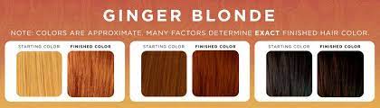 Ginger Blonde Henna Hair Dye Henna Color Lab Henna Hair Dye Henna Hair Henna Color Henna Hair Dye