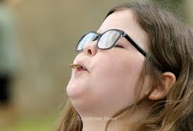 PHOTOS: Bama Bug Fest