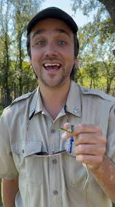 Trail Cam Tuesday! In this week's Trail Cam Tuesday post, our trail cam  captured video of a Turkey vulture sunning it's wings! Turkey vultures are  one of two species of vultures at