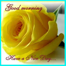 Good Morning Have A Nice Day Yellow Roses Rose Beautiful Roses