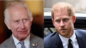 Prince Harry: What did Prince Harry say that made Charles furious? Here are  the details
