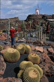 Montagnes De Feu De Lanzarote Jean Robert Nature And Travel Photography Lanzarote Canary Islands Cactus Garden