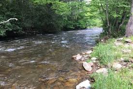 In the middle of the nantahala national forest, this cool, lush area has plenty of beautiful spots for outdoor activities. Fishing Visit Madison County Nc Tourism Development Autority