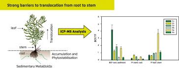 Image result for Suaeda sp. B