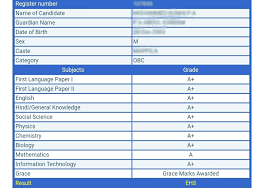 Dhse kerala hse result 2020 online. Kerala Plus Two Result 2020 Out Live Updates Check 2nd Year Dhse Result Keralaresults Nic In