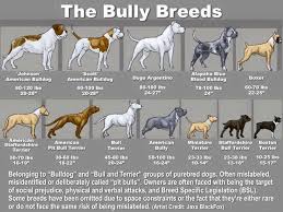 here is a handy chart to help you identify some common dog