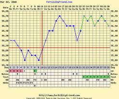 Clomid Pregnancy Bb Charts With Implantation Dip