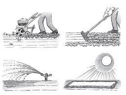 Check spelling or type a new query. Ask Ruth Soil Solarization Organic Gardening Organic Growers School