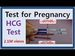 Test For Pregnancy Youtube