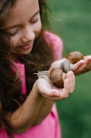 Snails Are Low Maintenance Indoor Pets And Easy To Take Care Of That S Why Snails Are The Best Pets For Your Child Easy Pets Pet Snails Low Maintenance Pets