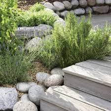 Check spelling or type a new query. Krautergarten Anlegen Fur Kuche Garten Balkon Living At Home