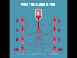 Donate blood to help others: Blood Donation Chart Youtube