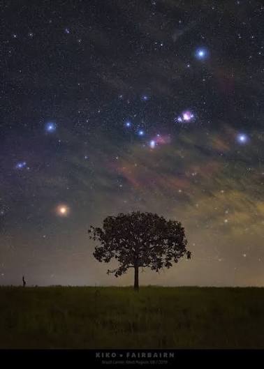 Una constelación de estrellas viendo a su Brasil 