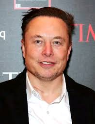 Cats And Dogs Funny Videos