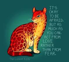 Words Of Encouragement And Cute Animals By The Latest Kate Cute Animal Quotes Inspirational Animal Quotes Animal Quotes