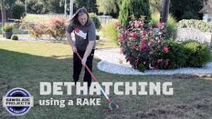 A standard garden rake doesn't remove thatch well at all. Dethatching My Lawn With A Rake And Reseeding Youtube