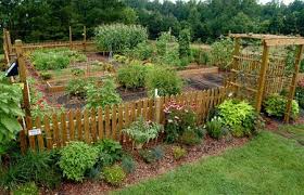 Now If I Can Just Design My Vegetable Garden To Look Like This Garden Layout Vegetable Garden Planner Vegetable Garden Design