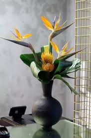 Deliver even more joy to the blissful home with certainly one of these new baby bouquets, assured to stay contemporary for up to 7 days.<br /> there are additionally options to ship flowers in a present box in case your mom's native florist is not open. Bird Of Paradise Flower Arrangements