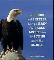 When the storm hits, it sets its wings so that we can soar above the storm. All Birds Find Shelter During Rain But Eagles Avoid Rain By Flying Above The Clouds What Is A Short But Inspiring Explanation Of The Quote Quora