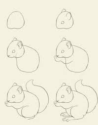 Next, draw two small ears on the top of the circle. Images Of Cartoon Easy Drawing Pictures Squirrel